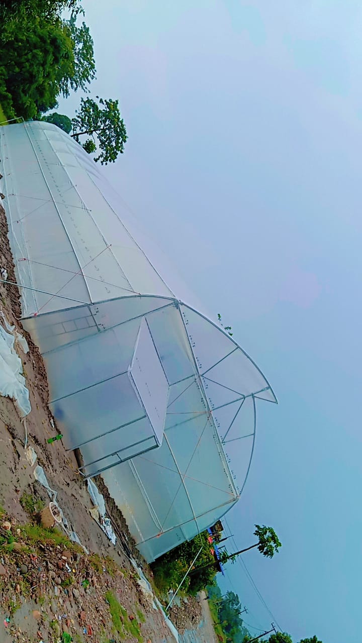 Greenhouse